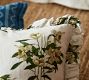 Narcissus Floral Pillow Cover