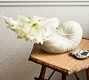 Mariella Ceramic Seashell