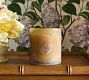 NYBG Hand-Painted Candle
