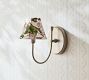NYBG Lilacs Floral Sconce Shade