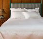Evangeline Tencel Duvet Cover and Shams