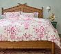 Meredith Toile Duvet Cover &amp; Shams