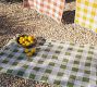 Plaid Light-Weight Turkish Towel