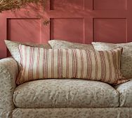Printed Stripe Pillow Cover
