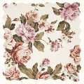 Ivory Rose