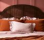 Velvet Tencel Ruffle Throw Pillows