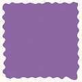 lilac-daisy-bloom