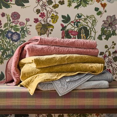 Coverlets & Throws image