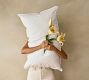 Pillow Insert