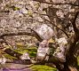 NYBG Butterfly Garden Lamp Shade