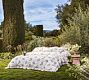 NYBG Rose Ruffle Duvet Cover &amp; Shams