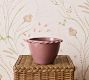 Piecrust Cachepot